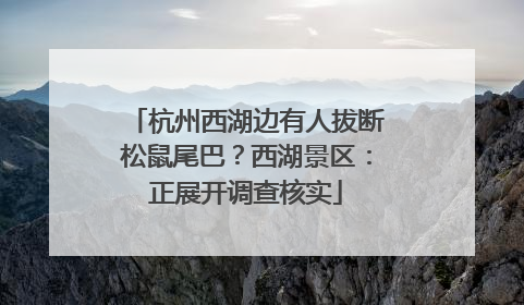 杭州西湖边有人拔断松鼠尾巴？西湖景区：正展开调查核实