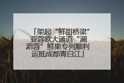 架起“鲜甜桥梁” 亚蓉欧大通道“澜湄蓉”鲜果专列顺利运抵成都青白江