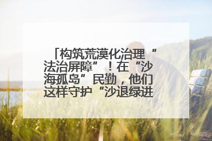 构筑荒漠化治理“法治屏障”！在“沙海孤岛”民勤，他们这样守护“沙退绿进”的生态奇迹