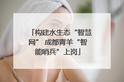 构建水生态“智慧网” 成都青羊“智能哨兵”上岗