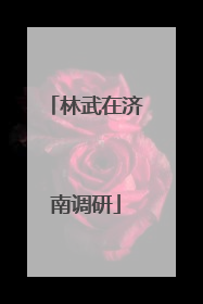 林武在济南调研