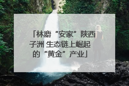 林麝“安家”陕西子洲 生态链上崛起的“黄金”产业