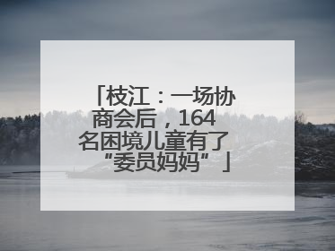 枝江：一场协商会后，164名困境儿童有了“委员妈妈”