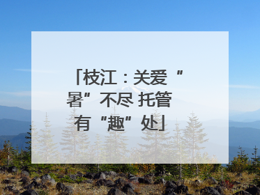 枝江：关爱“暑”不尽 托管有“趣”处