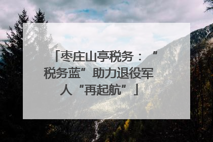 枣庄山亭税务：“税务蓝”助力退役军人“再起航”