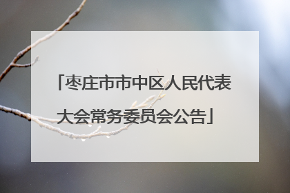 枣庄市市中区人民代表大会常务委员会公告