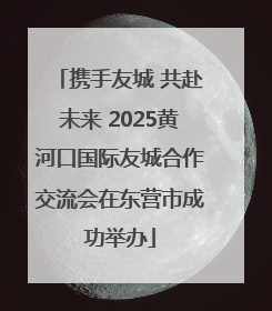 携手友城 共赴未来 2025黄河口国际友城合作交流会在东营市成功举办