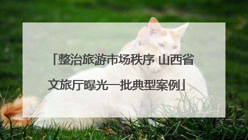整治旅游市场秩序 山西省文旅厅曝光一批典型案例