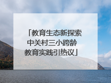教育生态新探索 中关村三小跨龄教育实践引热议