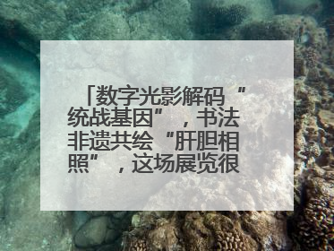 数字光影解码“统战基因”，书法非遗共绘“肝胆相照”，这场展览很有创意！