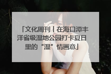 文化周刊丨在海口潭丰洋省级湿地公园打卡夏日里的“湿”情画意