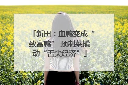 新田：血鸭变成“致富鸭” 预制菜撬动“舌尖经济”