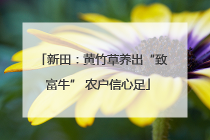 新田：黄竹草养出“致富牛” 农户信心足