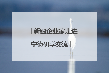 新疆企业家走进宁德研学交流