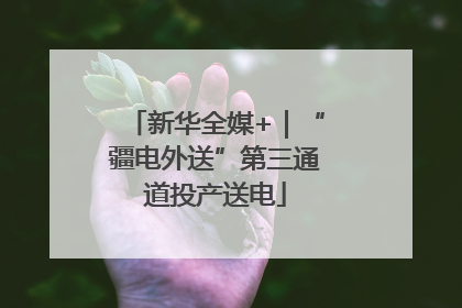 新华全媒+｜“疆电外送”第三通道投产送电