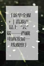新华全媒+｜高原产品上“云”端——西藏电商发展一线观察