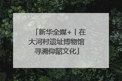 新华全媒+丨在大河村遗址博物馆寻溯仰韶文化