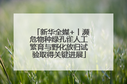 新华全媒+丨濒危物种绿孔雀人工繁育与野化放归试验取得关键进展