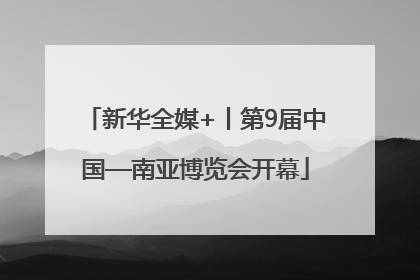 新华全媒+丨第9届中国—南亚博览会开幕