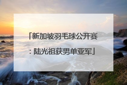 新加坡羽毛球公开赛：陆光祖获男单亚军
