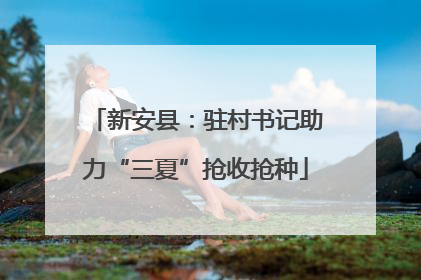 新安县：驻村书记助力“三夏”抢收抢种