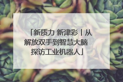 新质力 新津彩丨从解放双手到智慧大脑 探访工业机器人
