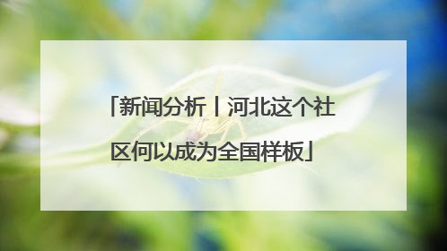 新闻分析丨河北这个社区何以成为全国样板