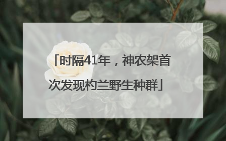 时隔41年，神农架首次发现杓兰野生种群