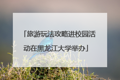 旅游玩法攻略进校园活动在黑龙江大学举办