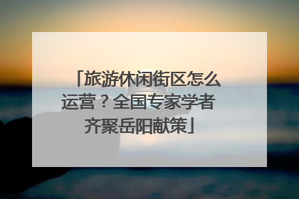旅游休闲街区怎么运营？全国专家学者齐聚岳阳献策