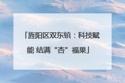 旌阳区双东镇：科技赋能 结满“杏”福果
