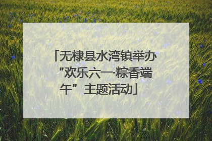 无棣县水湾镇举办“欢乐六一·粽香端午”主题活动