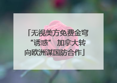 无视美方免费金穹“诱惑” 加拿大转向欧洲谋国防合作