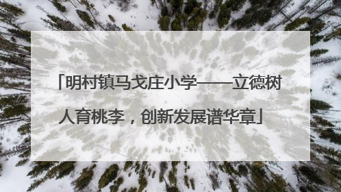 明村镇马戈庄小学——立德树人育桃李，创新发展谱华章