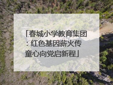 春城小学教育集团：红色基因薪火传 童心向党启新程
