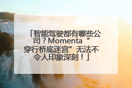 智能驾驶都有哪些公司？Momenta“穿行桥底迷宫”无法不令人印象深刻！
