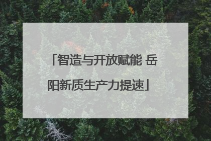 智造与开放赋能 岳阳新质生产力提速