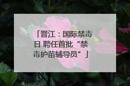 晋江：国际禁毒日 聘任首批“禁毒护苗辅导员”
