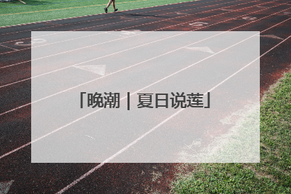 晚潮｜夏日说莲