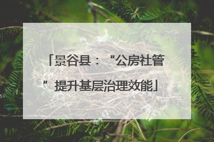 景谷县：“公房社管”提升基层治理效能