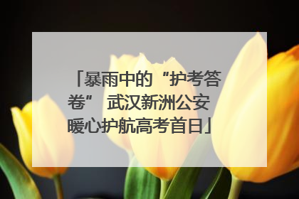 暴雨中的“护考答卷” 武汉新洲公安暖心护航高考首日
