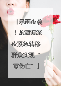 暴雨夜袭！龙潭镇深夜紧急转移群众实现“零伤亡”