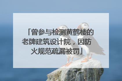曾参与检测黄鹤楼的老牌建筑设计院，因防火规范疏漏被罚
