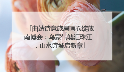 曲靖诗意旅居画卷绽放南博会：乌蒙气魄汇珠江，山水诗城启新章