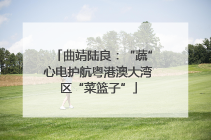 曲靖陆良：“蔬”心电护航粤港澳大湾区“菜篮子”
