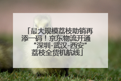 最大规模荔枝助销再添一码！京东物流开通“深圳-武汉-西安” 荔枝全货机航线