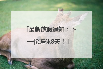 最新放假通知：下一轮连休8天！