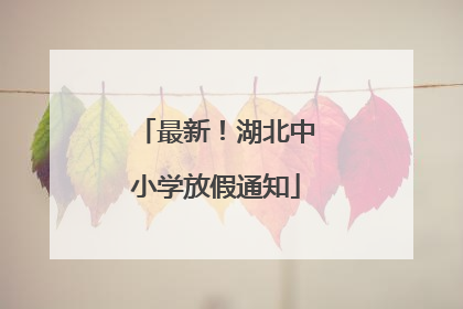 最新！湖北中小学放假通知