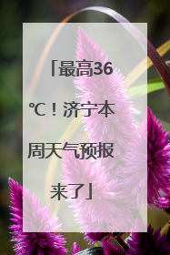 最高36℃！济宁本周天气预报来了