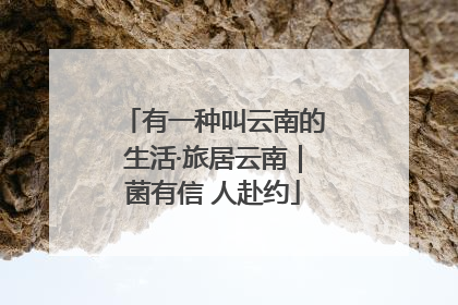 有一种叫云南的生活·旅居云南｜菌有信 人赴约